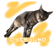 588038679