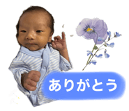 588038808