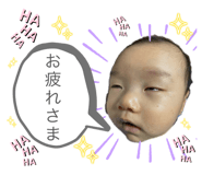 588038813