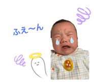 588038818