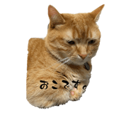 588044136