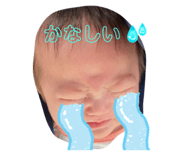 588050061