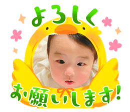 588200342
