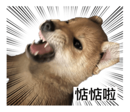 588206528
