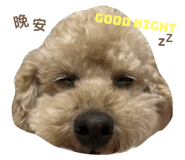 588262679