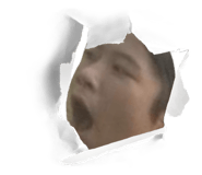 588263743