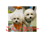 588274011