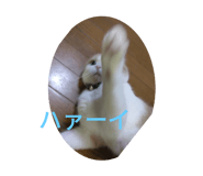 588274012