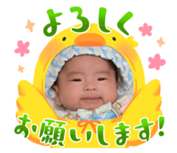 588320096