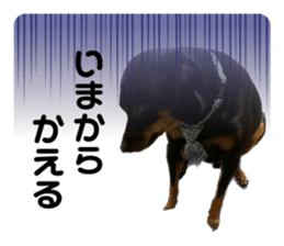 588404780