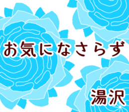 58845087
