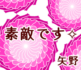 58845945