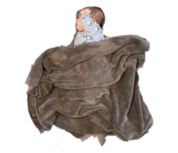 588479652