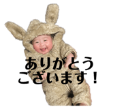 588479840