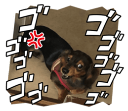 588527254