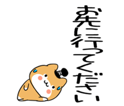 588537260