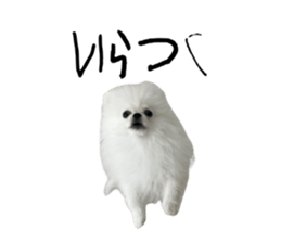 588579890