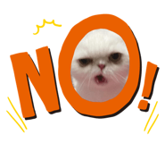 588579948