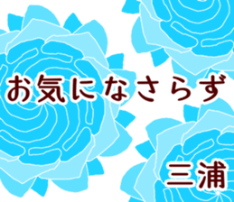 58862146