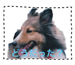 588624901