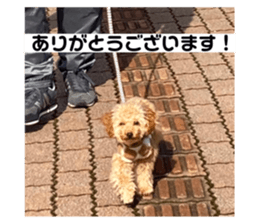 588678917