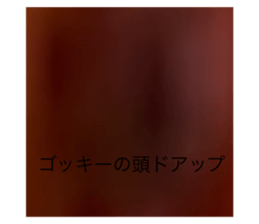 588691669