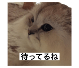 588715778