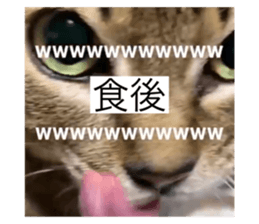 588715787