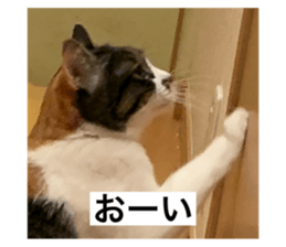 588715790