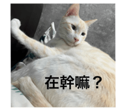 588773874