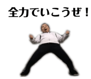 588808677
