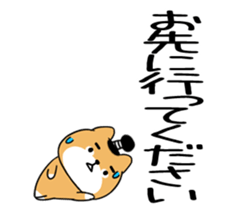 588812412