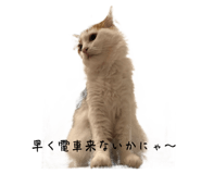 588841819