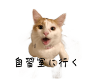 588841821