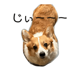 588859190