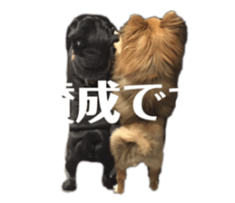 588948515