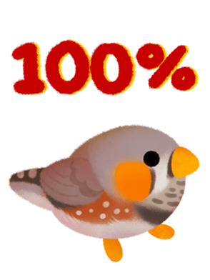 588956622