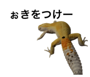 588961625
