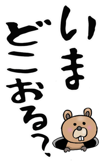 588976508