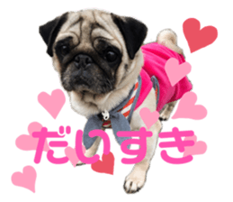 588983920