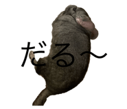 588993263