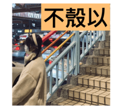589053227