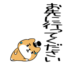 589090804
