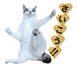 589148798