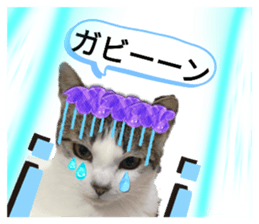 589148810