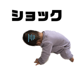 589205036