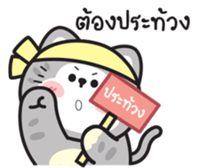 589234364