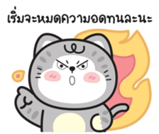 589234372