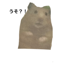 589255559