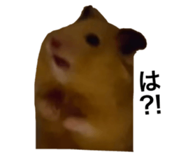 589255560
